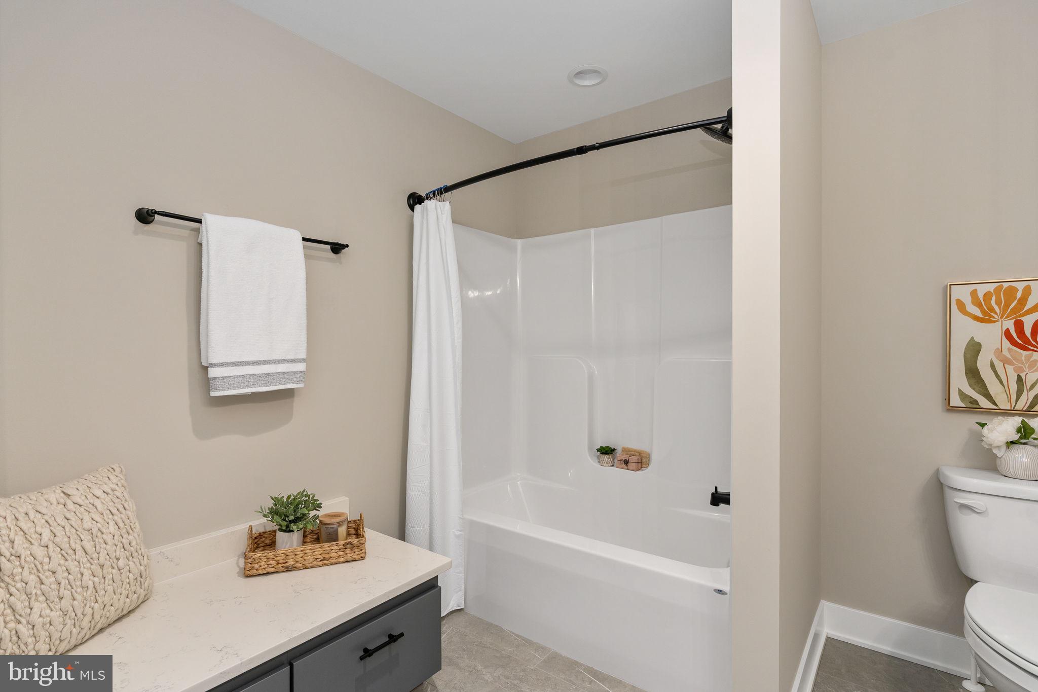 261 Washington Street Locust Grove, VA 22508 - Photo 48 of 90 a bathroom with a sink toilet and shower