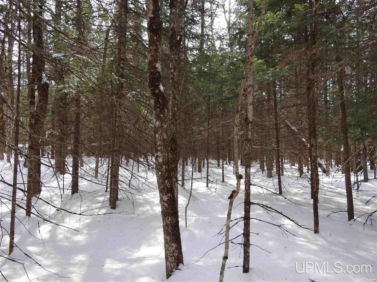 Tbd Dogpatch Road, Unit LOT A Lanse, MI 49946 - Photo 12 of 18