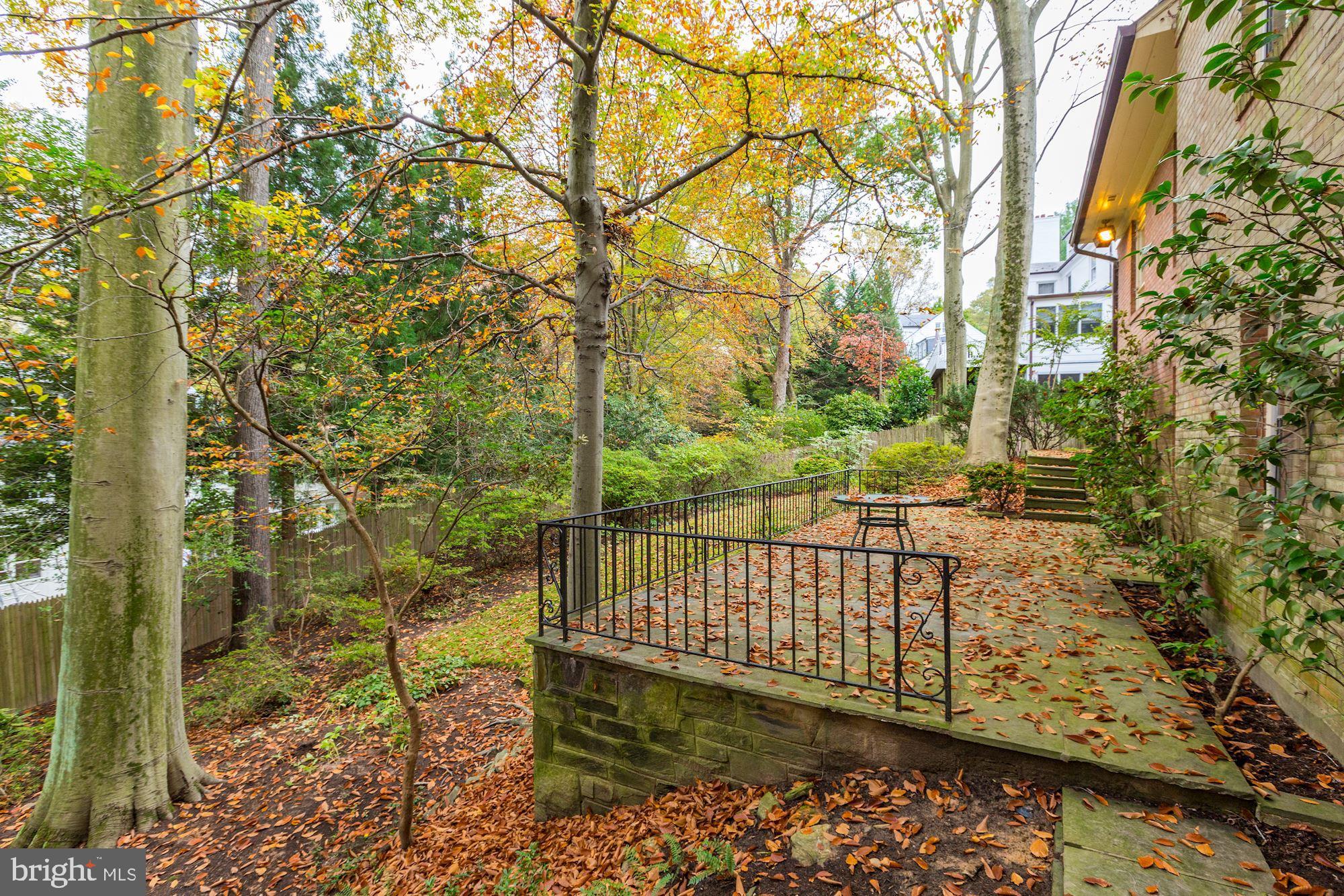 5001 Loughboro Road Northwest Washington, DC 20016 - Photo 12 of 12