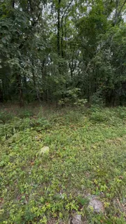 $250,000 | 6476 Arno-College Grove Road, College Grove, TN 37046