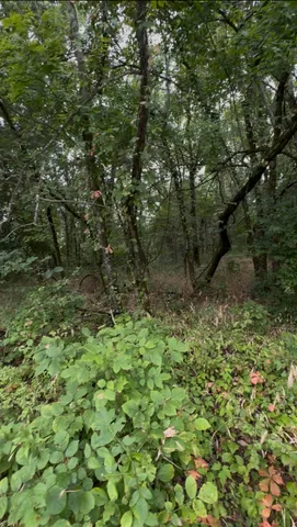 $250,000 | 6476 Arno-College Grove Road, College Grove, TN 37046