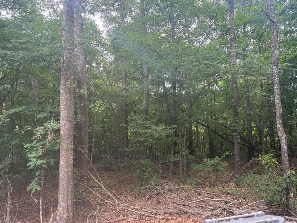 0 Diamond T Road Heflin, LA 71039 - Photo 7 of 7 Unimproved Land. Endless possibilities!