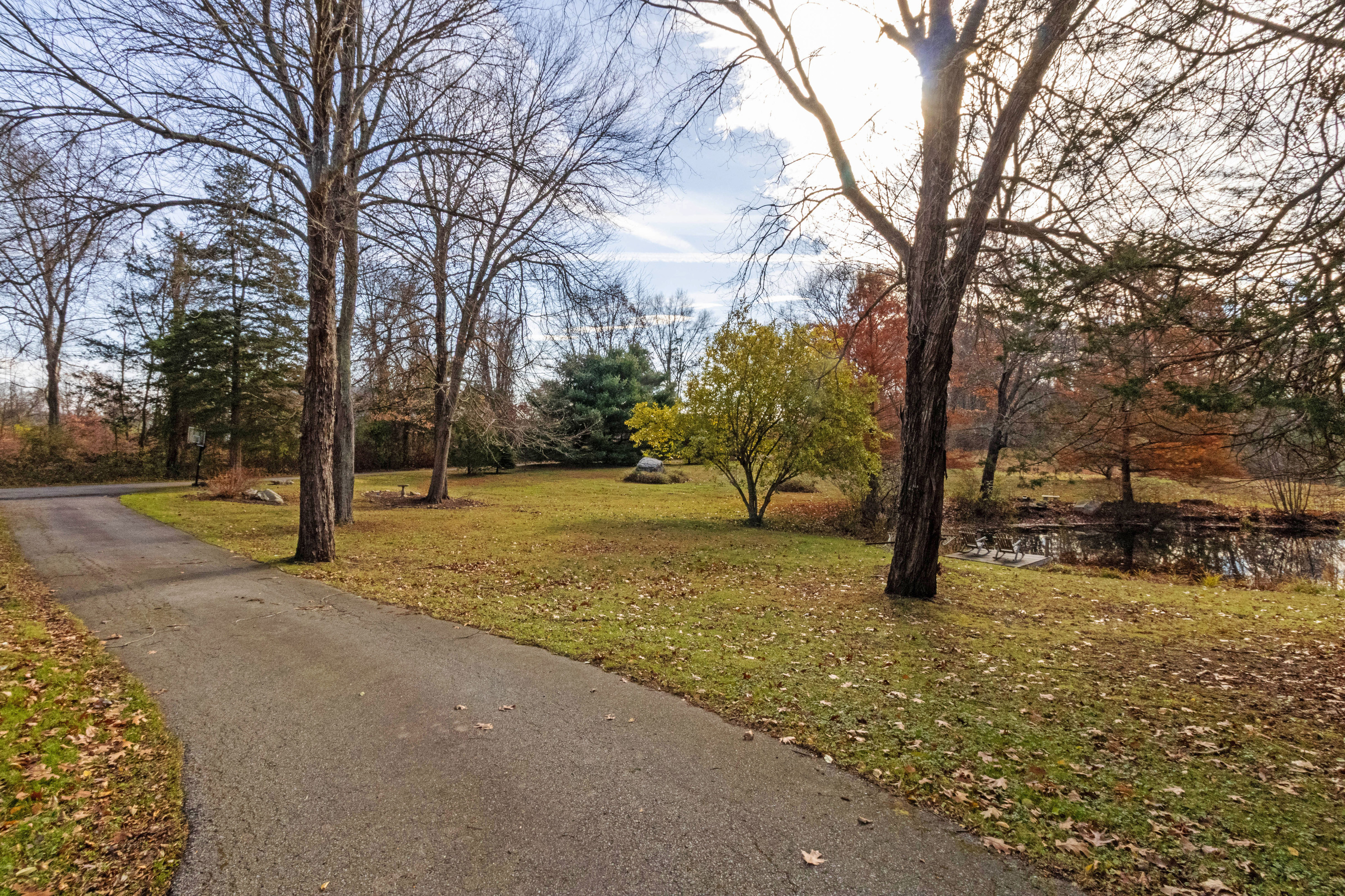 67 Moodus Leesville Road East Haddam, CT 06469 - Photo 35 of 38 a view of a yard with a tree