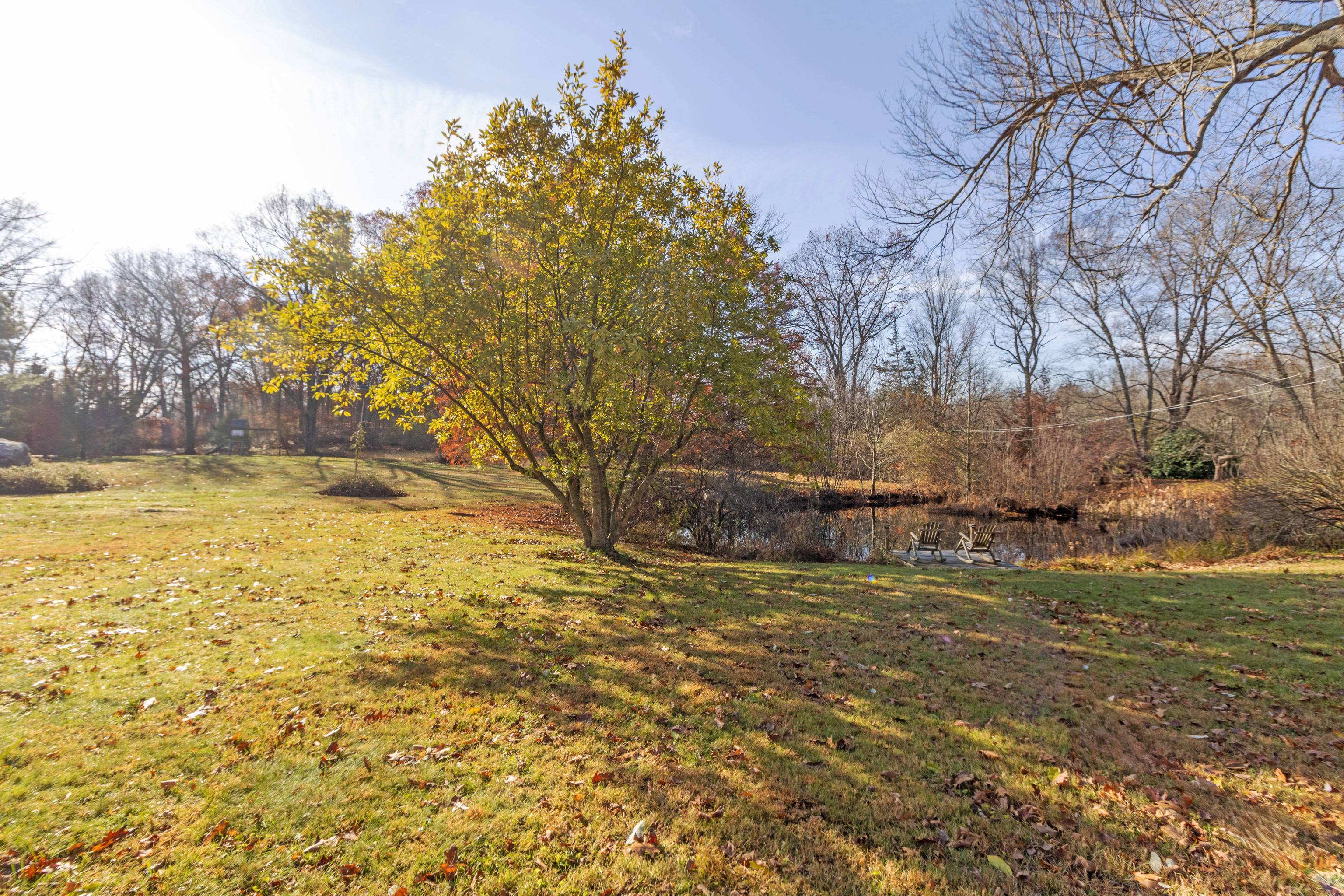 67 Moodus Leesville Road East Haddam, CT 06469 - Photo 37 of 38 a view of a yard with a tree