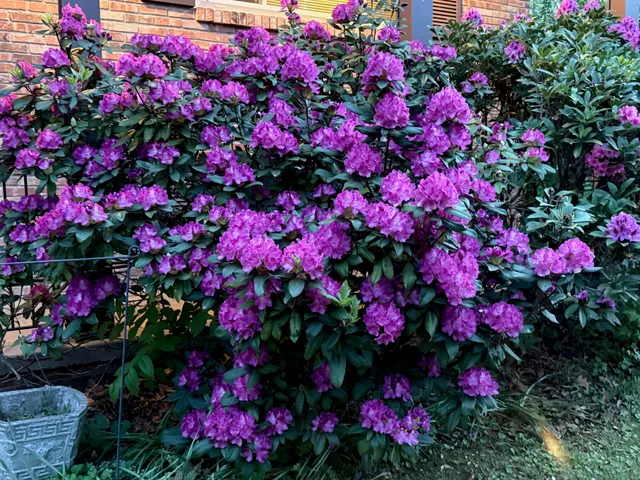 $385,000 | 10092 Sunny Lane, Ooltewah, TN 37363