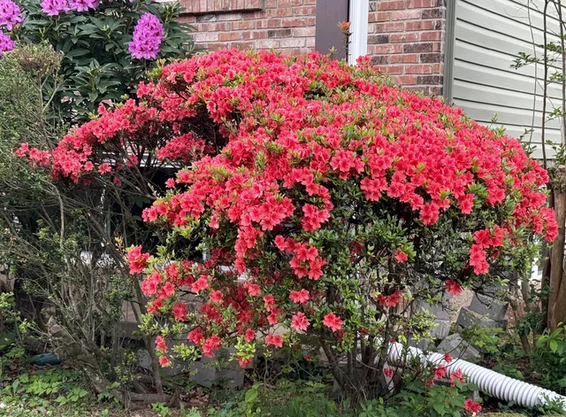 $385,000 | 10092 Sunny Lane, Ooltewah, TN 37363