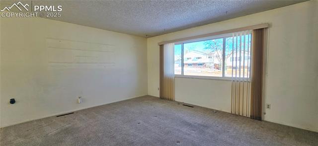 6313 Chippewa Road Colorado Springs, CO 80915 - Photo 13 of 36 Unfurnished room with light carpet and a textured ceiling