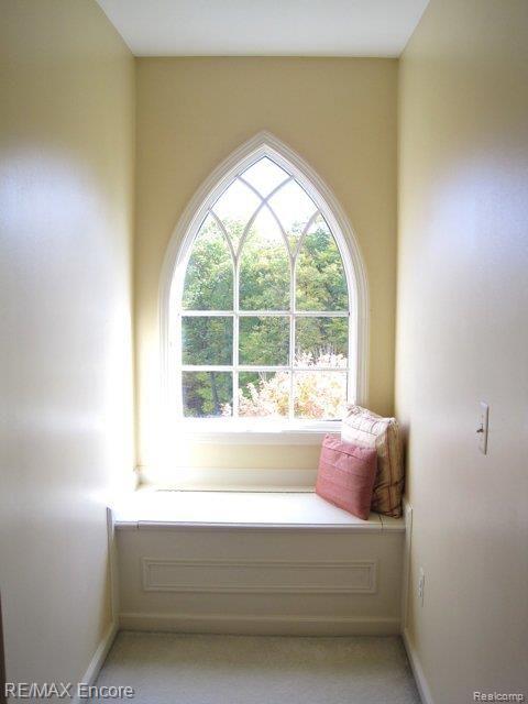 8635 Deerwood Road Clarkston, MI 48348 - Photo 52 of 58 Bonus Rm Dormer.jpg