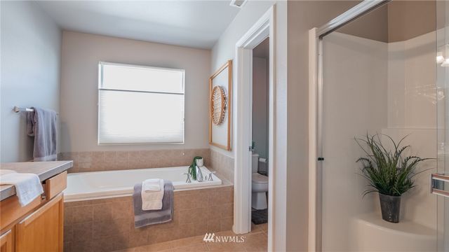 a bath room with a bathtub a potted plant and a window