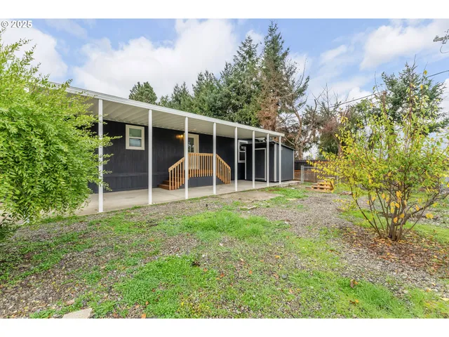 a view of a backyard with potted plants and large tree