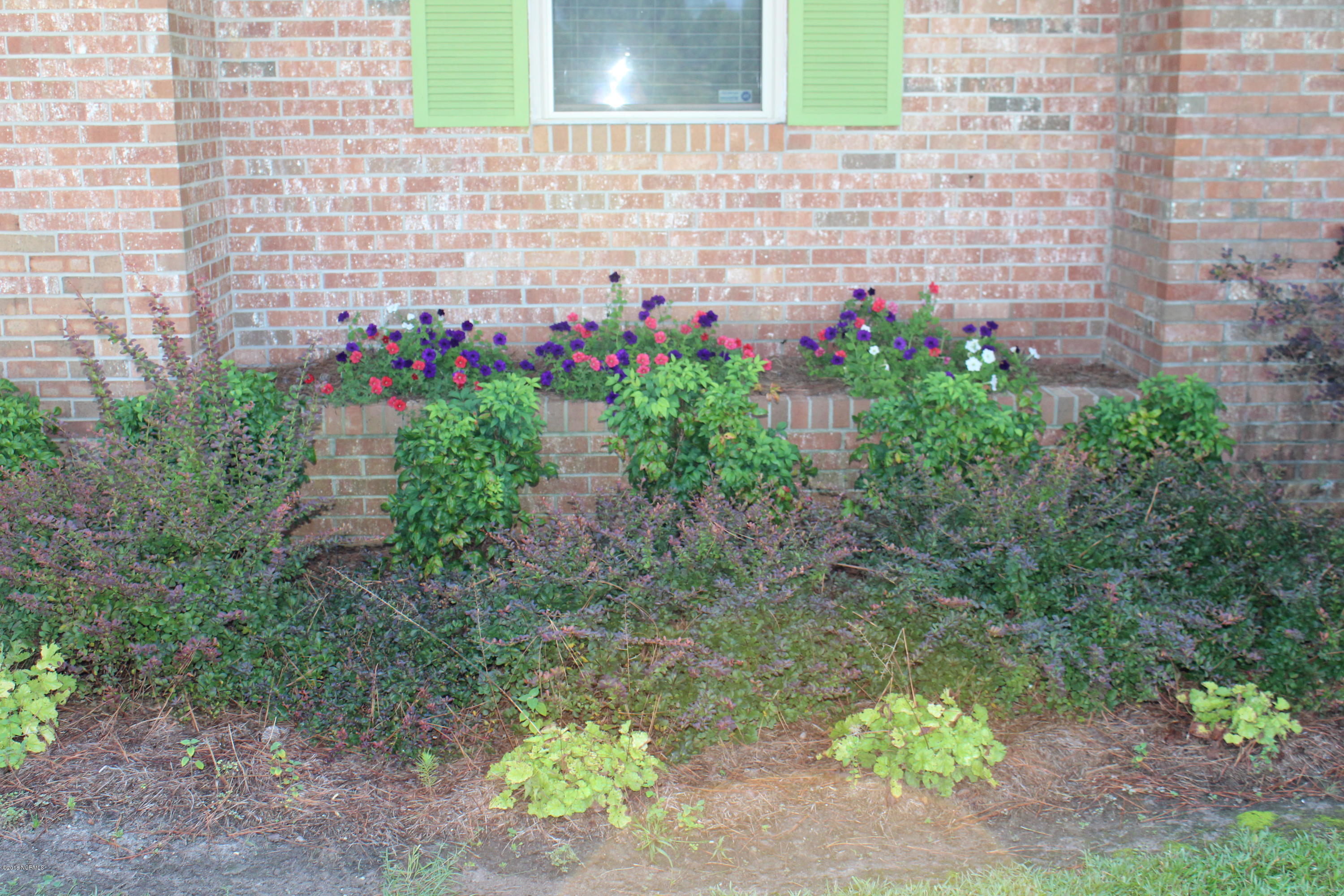 865 Tedder Road Ivanhoe, NC 28447 - Photo 2 of 32 IMG_2736