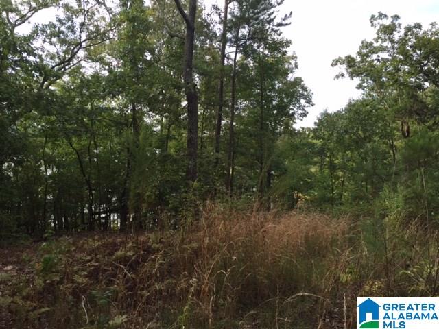 3291 County Road Wedowee, AL 36278 - Photo 3 of 7