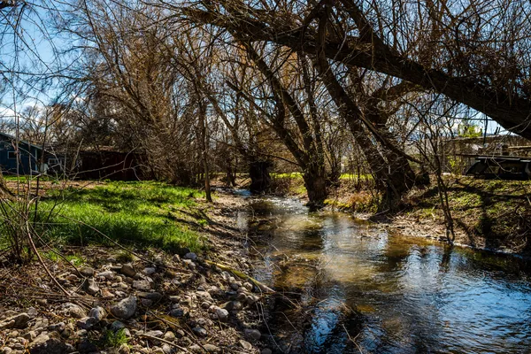 $469,000 | 221 West 3rd Avenue, Dayton, WY 82836