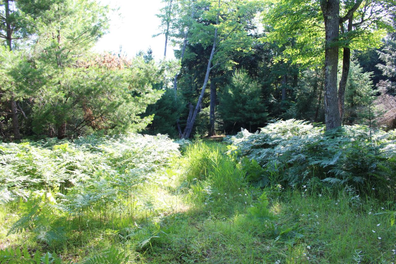 1740 Sugar Bush Road Watersmeet, MI 49969 - Photo 21 of 22 Gallery Image 21