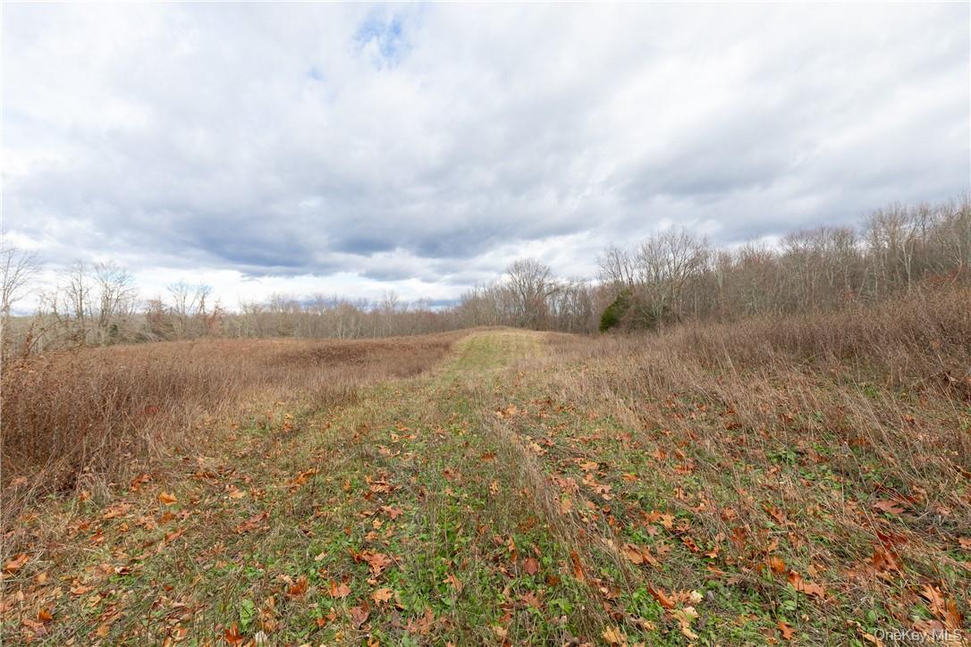 Cream Street Poughkeepsie, NY 12601 - Photo 7 of 10 a view of a field with trees in the background