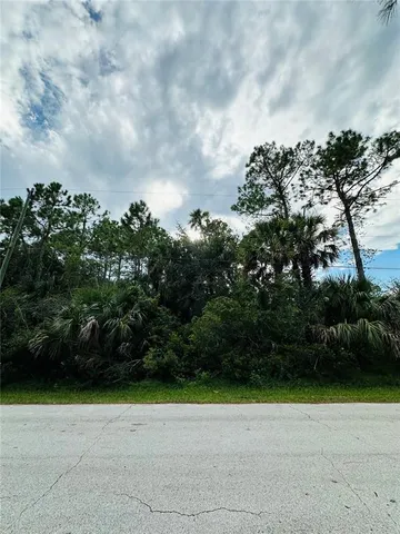 a view of a yard with plants and a plant