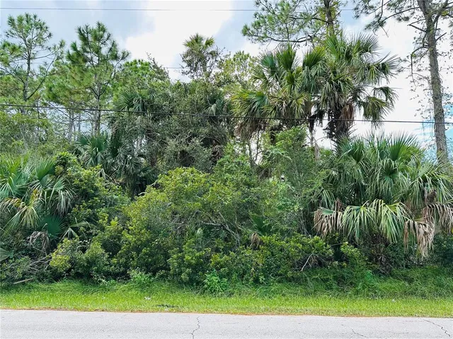 a view of a garden area