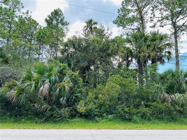 a view of a yard with a trees