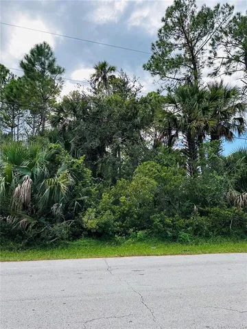 a view of a garden with plants