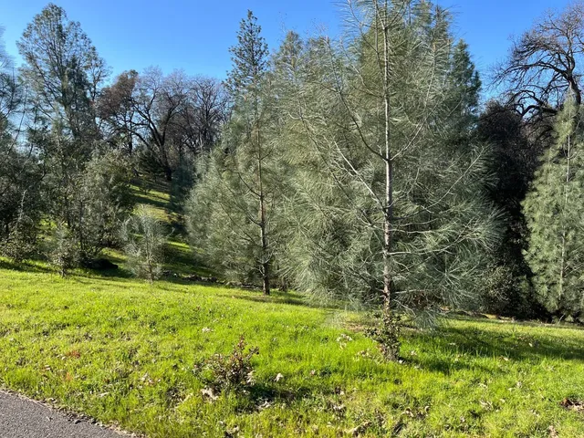 $139,999 | 12858 Austin Forest Circle, Auburn, CA 95602