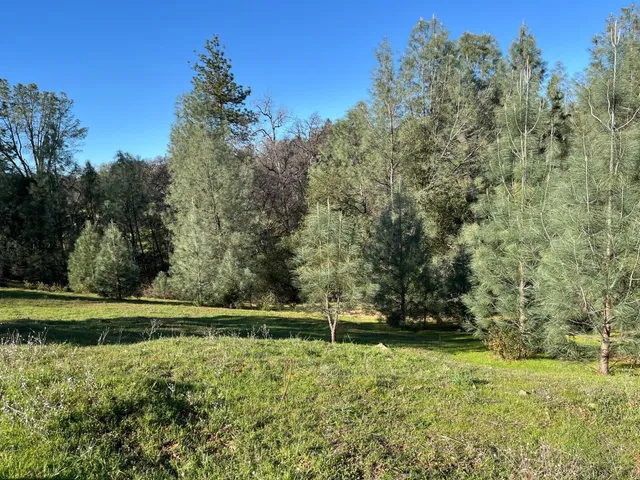 $139,999 | 12858 Austin Forest Circle, Auburn, CA 95602