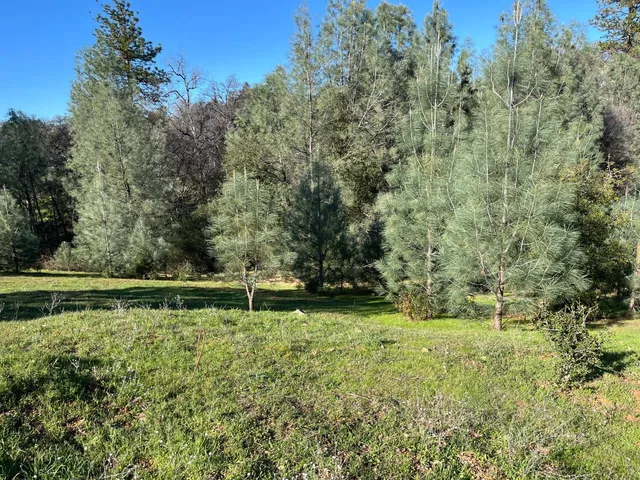 $139,999 | 12858 Austin Forest Circle, Auburn, CA 95602