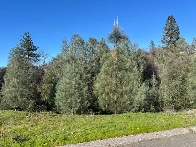 $139,999 | 12858 Austin Forest Circle, Auburn, CA 95602