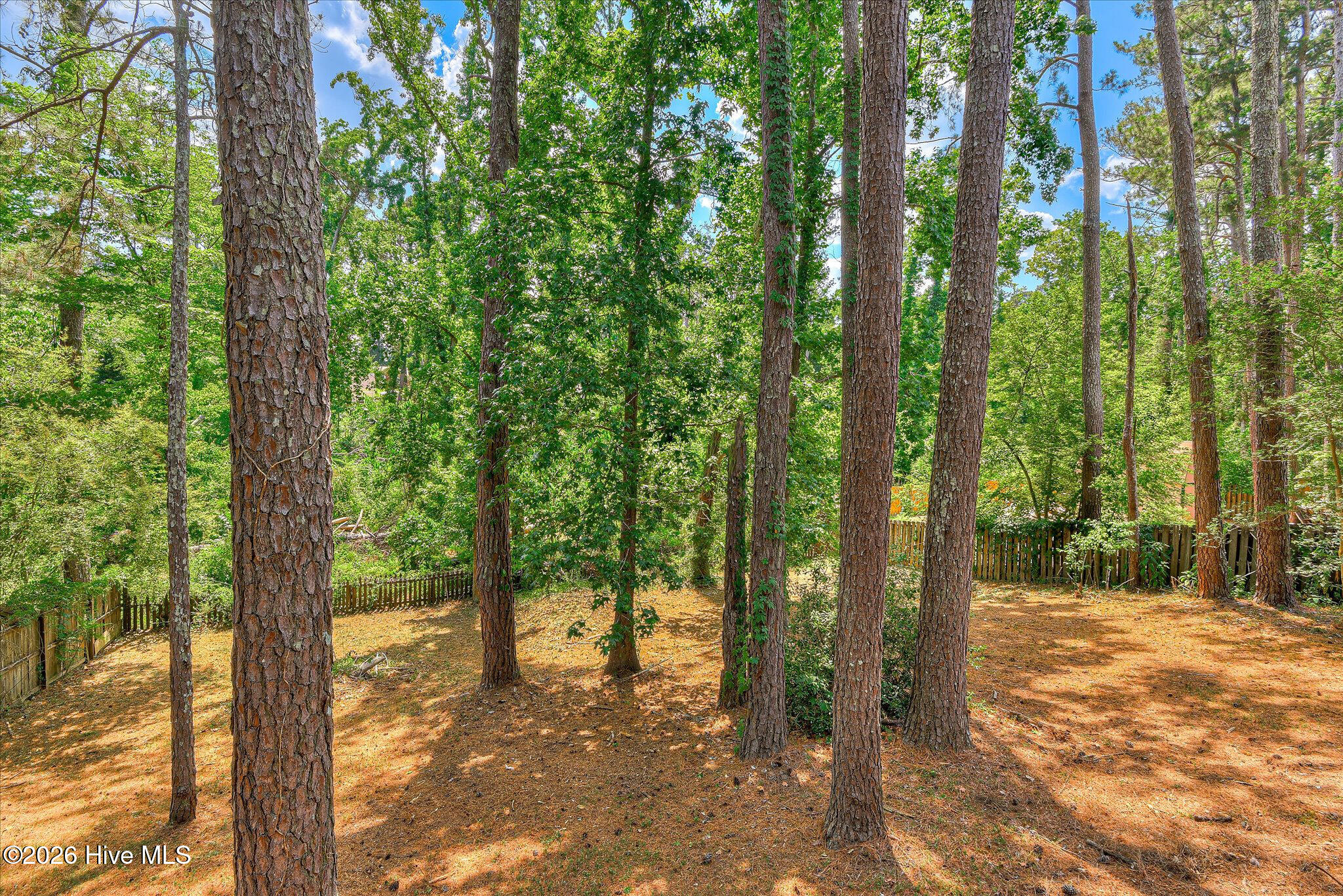 884 Chase Road Evans, GA 30809 - Photo 31 of 33 Peaceful Oasis in Columbia County, GA 55