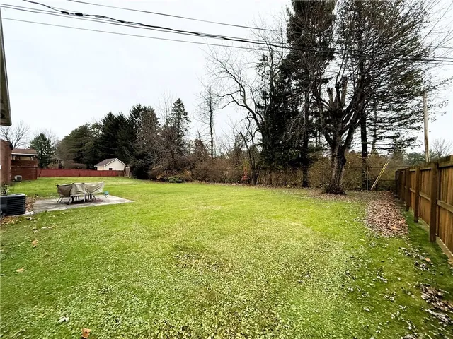 a view of a field with a tree in the background