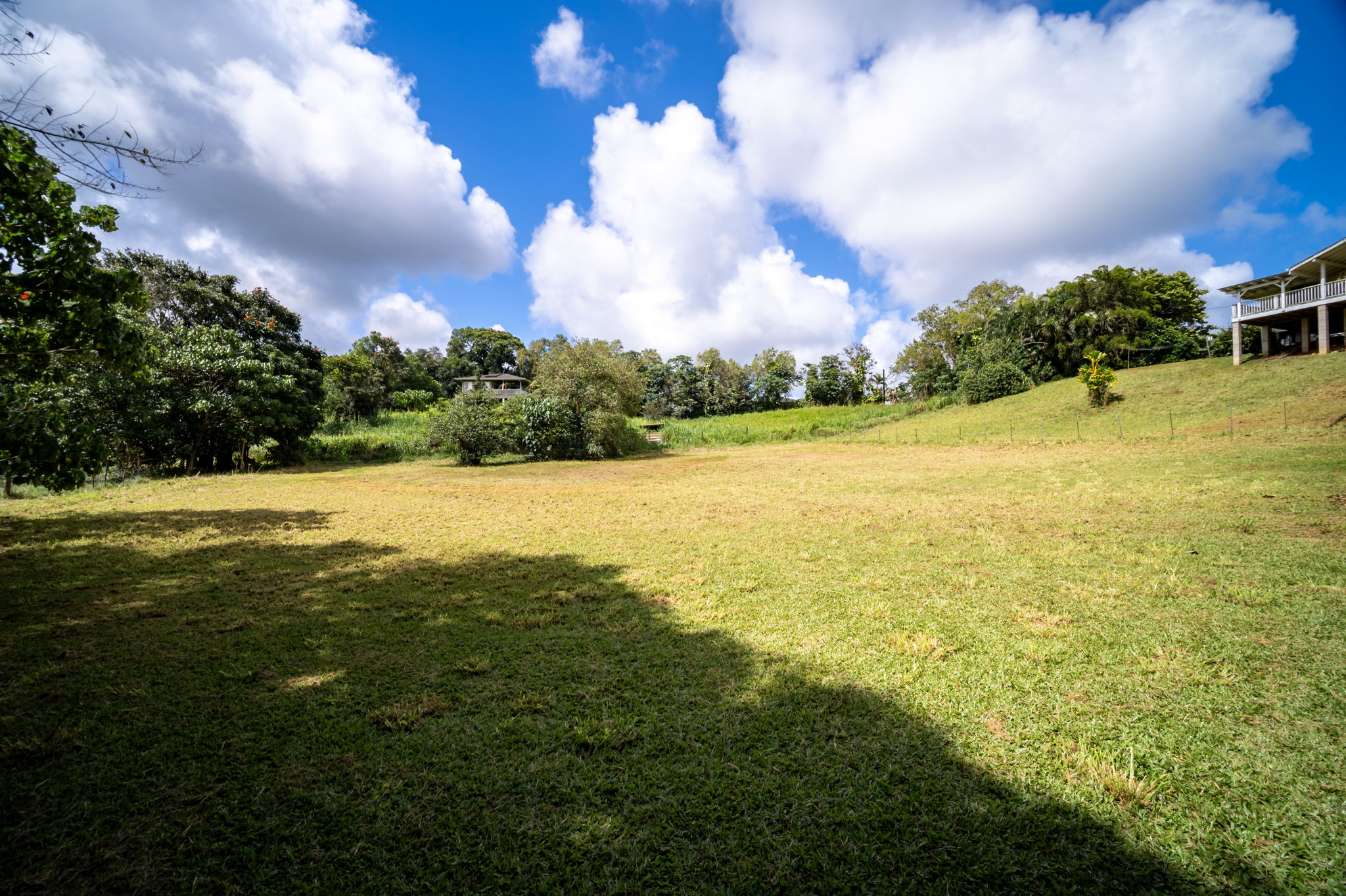 Puuopae Road Kapaa, HI 96746 - Photo 7 of 23