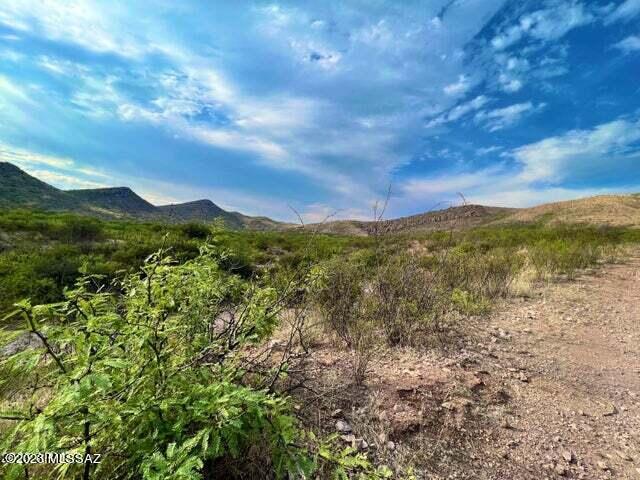 Perilla Perilla Mountain Ranch Douglas, AZ 85607 - Photo 8 of 21 Gallery Image 8