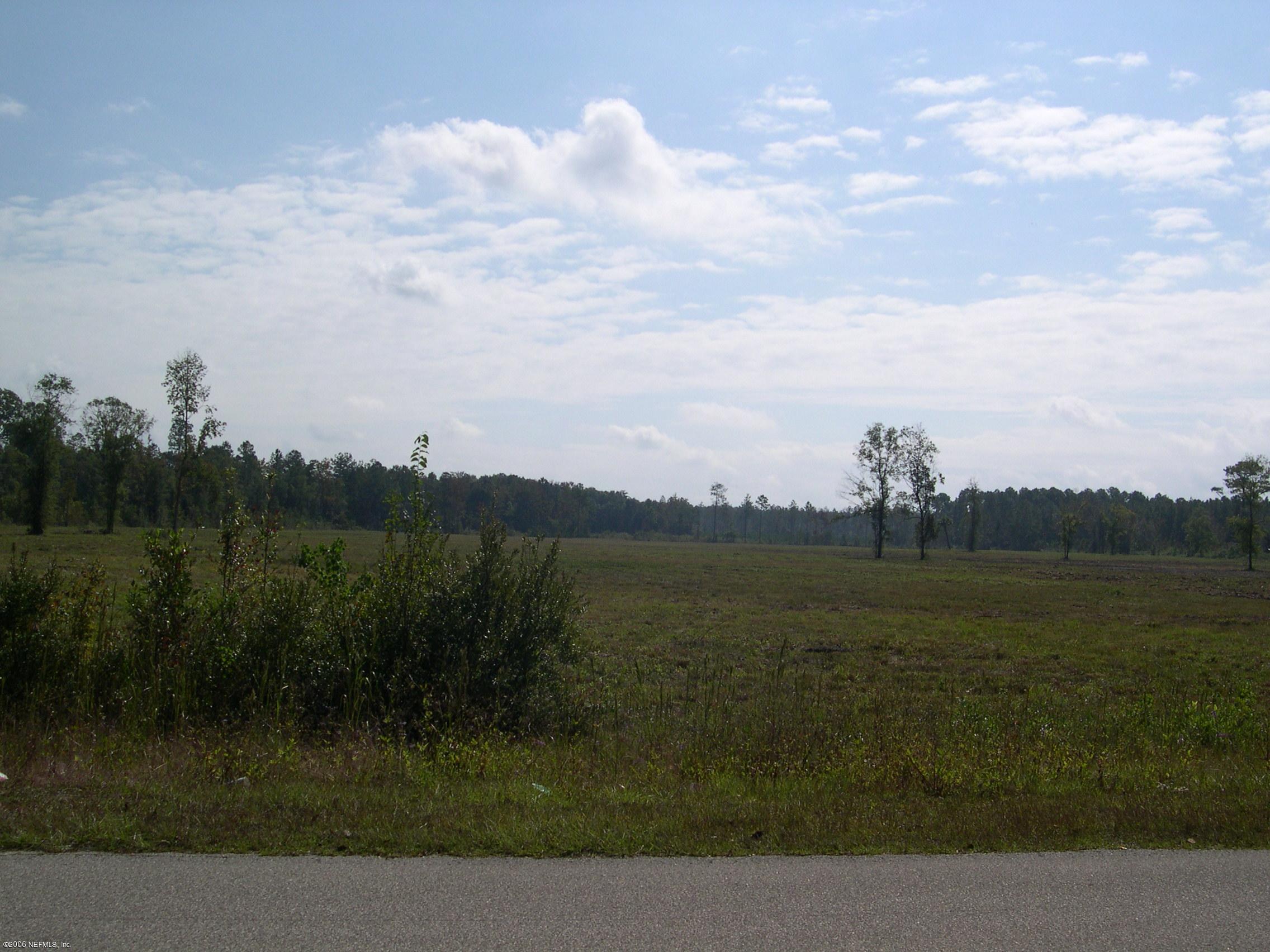 A Musslewhite Road Callahan, FL 32011 - Photo 1 of 3 a view of lake with mountain
