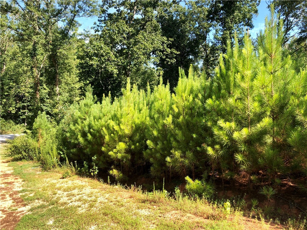 Lot 67-68 Riverbend Road Fair Play, SC 29643 - Photo 8 of 25 Lot is Wooded with Mixed Trees