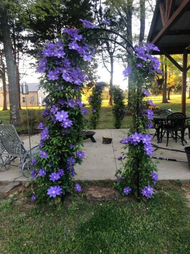 2305 Mockingbird Road Medon, TN 38356 - Photo 9 of 27 a view of a flower in a garden