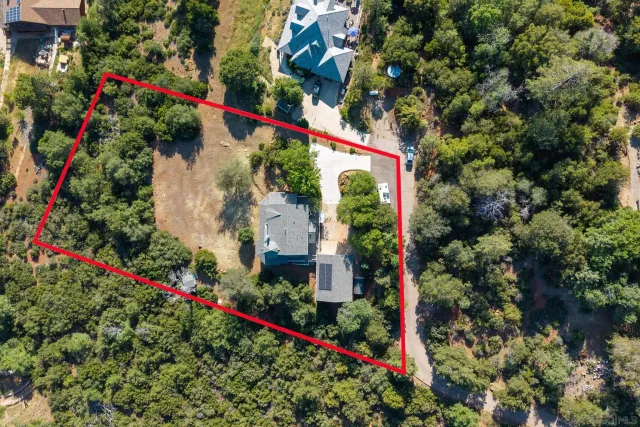 a view of a flower arrangement in a garden