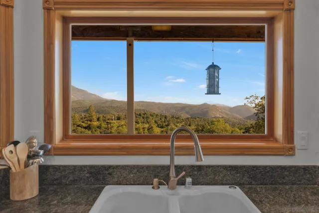 a view of a sink with a potted plant
