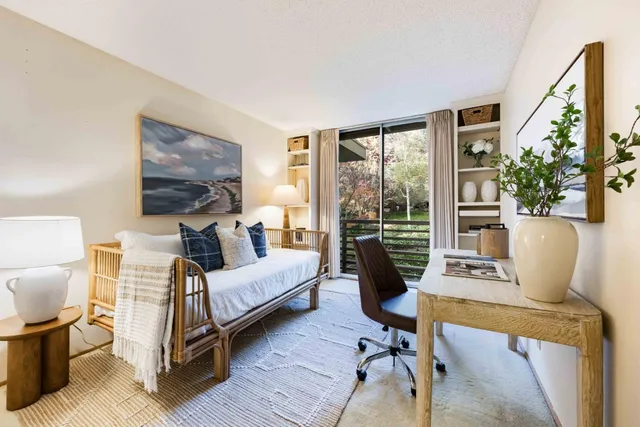 a room with furniture a rug potted plant and a window