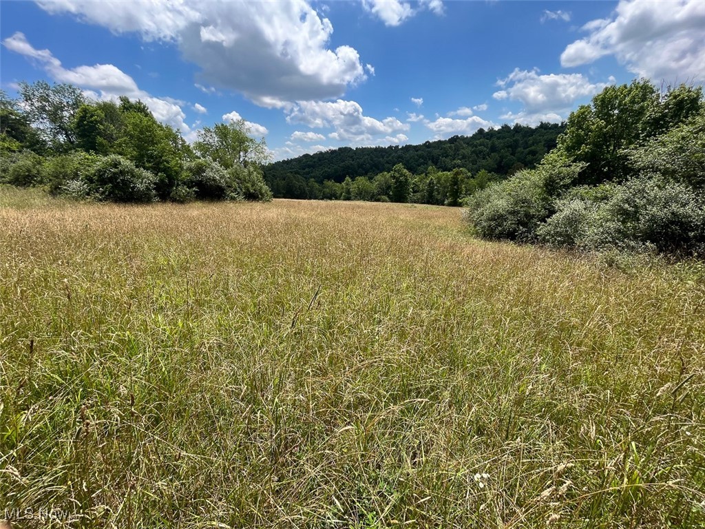 45559 Old Hopedale Road Cadiz, OH 43907 - Photo 21 of 26 View of wooded area featuring a view of rural / pastoral area