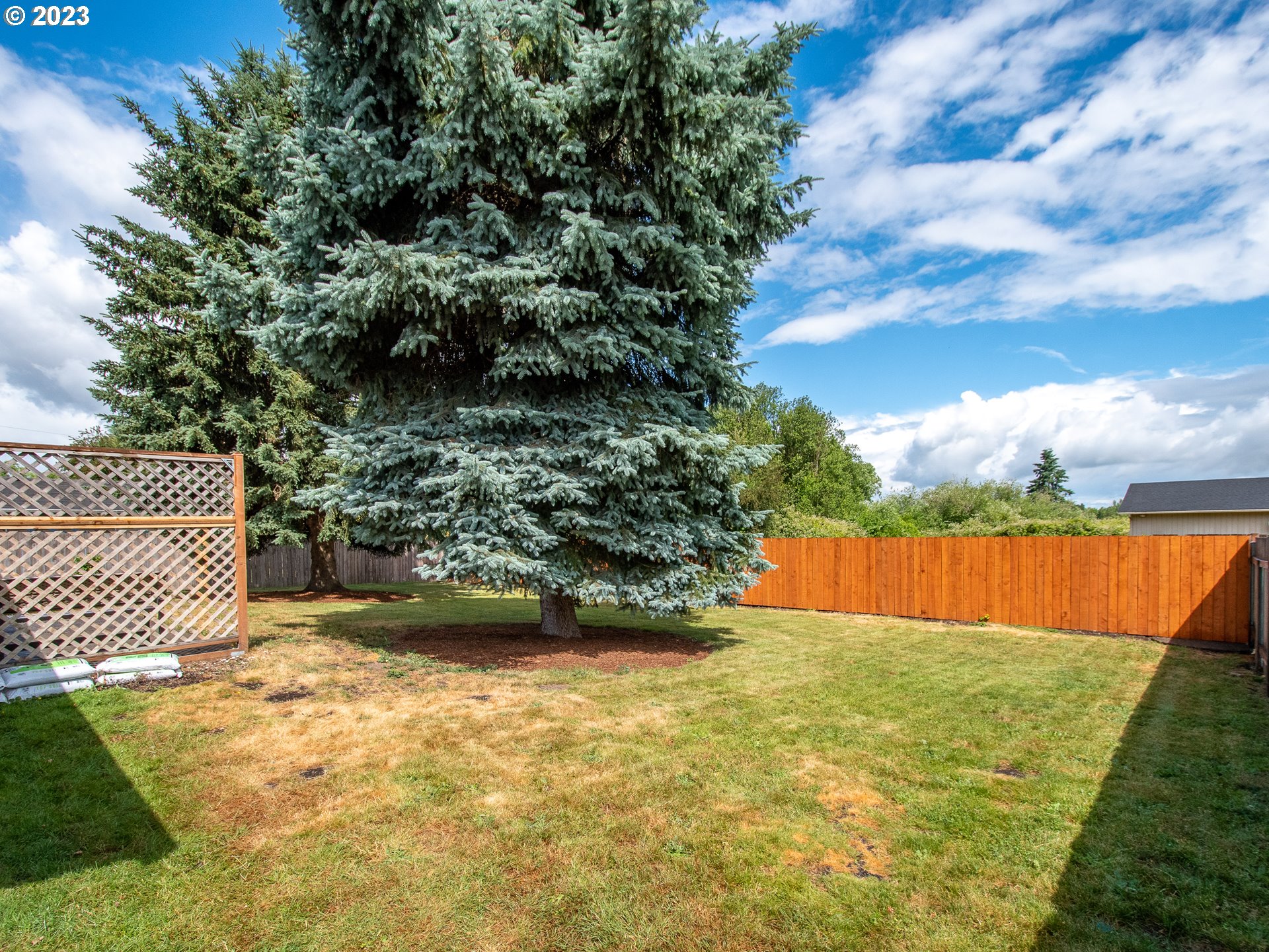 5208 Northeast 139th Loop Vancouver, WA 98682 - Photo 31 of 37 a view of a yard