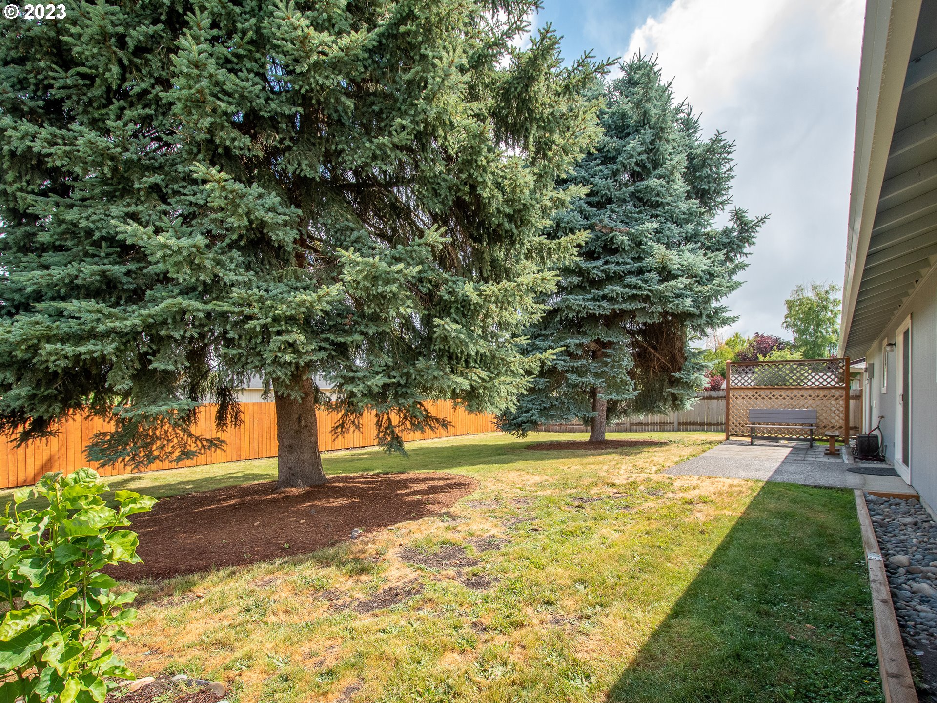 5208 Northeast 139th Loop Vancouver, WA 98682 - Photo 6 of 37 a view of yard with swimming pool and trees