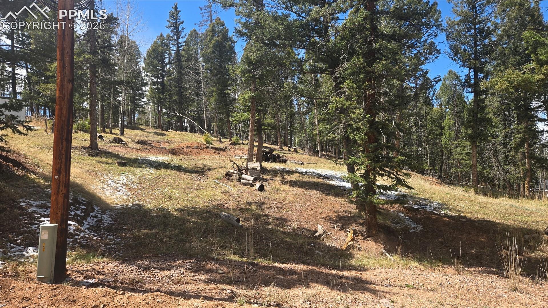 151 Mt Elbert Road Florissant, CO 80816 - Photo 1 of 5 Gallery Image 1