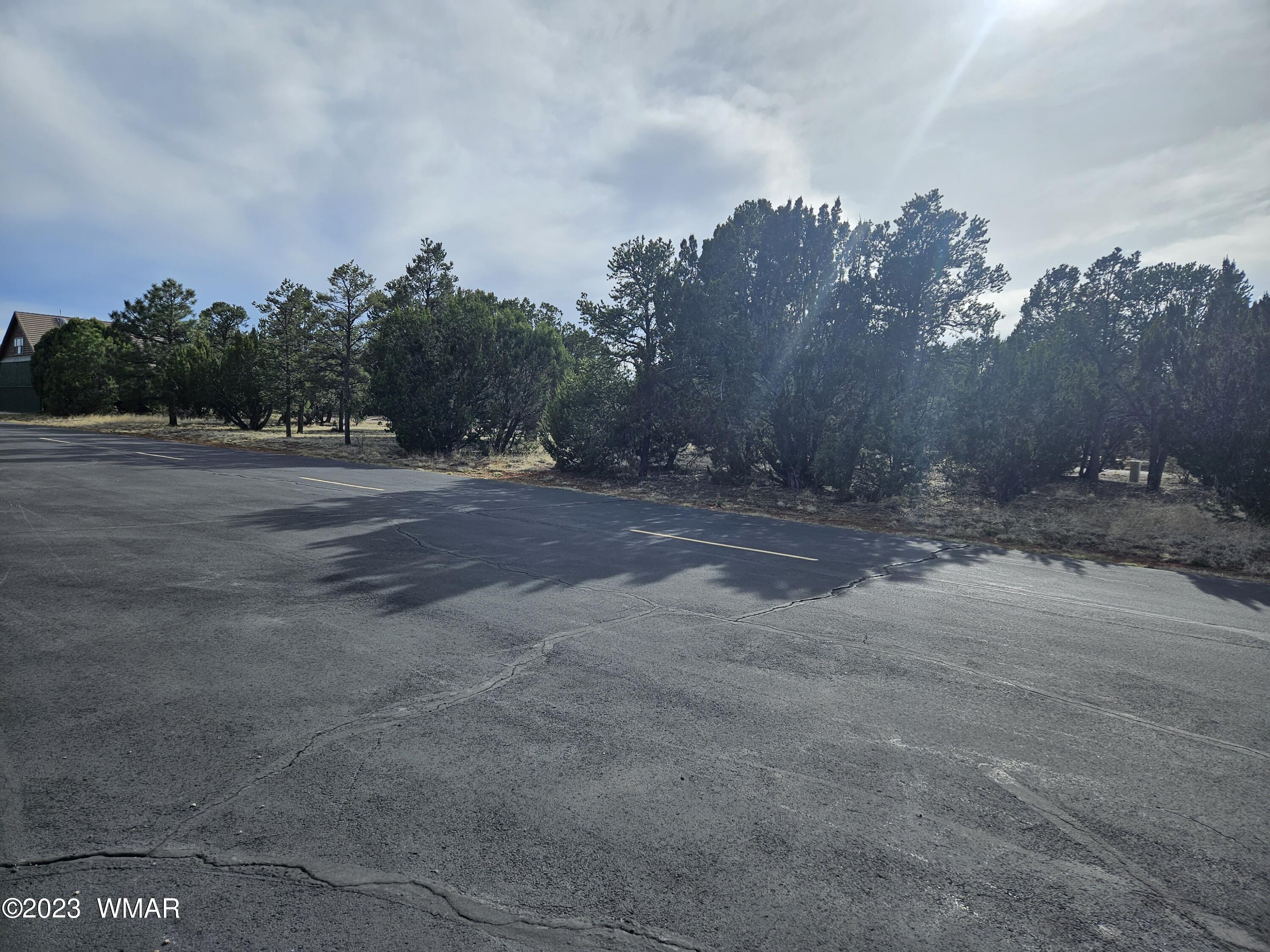 Tbd Constellation Drive Overgaard, AZ 85933 - Photo 1 of 3