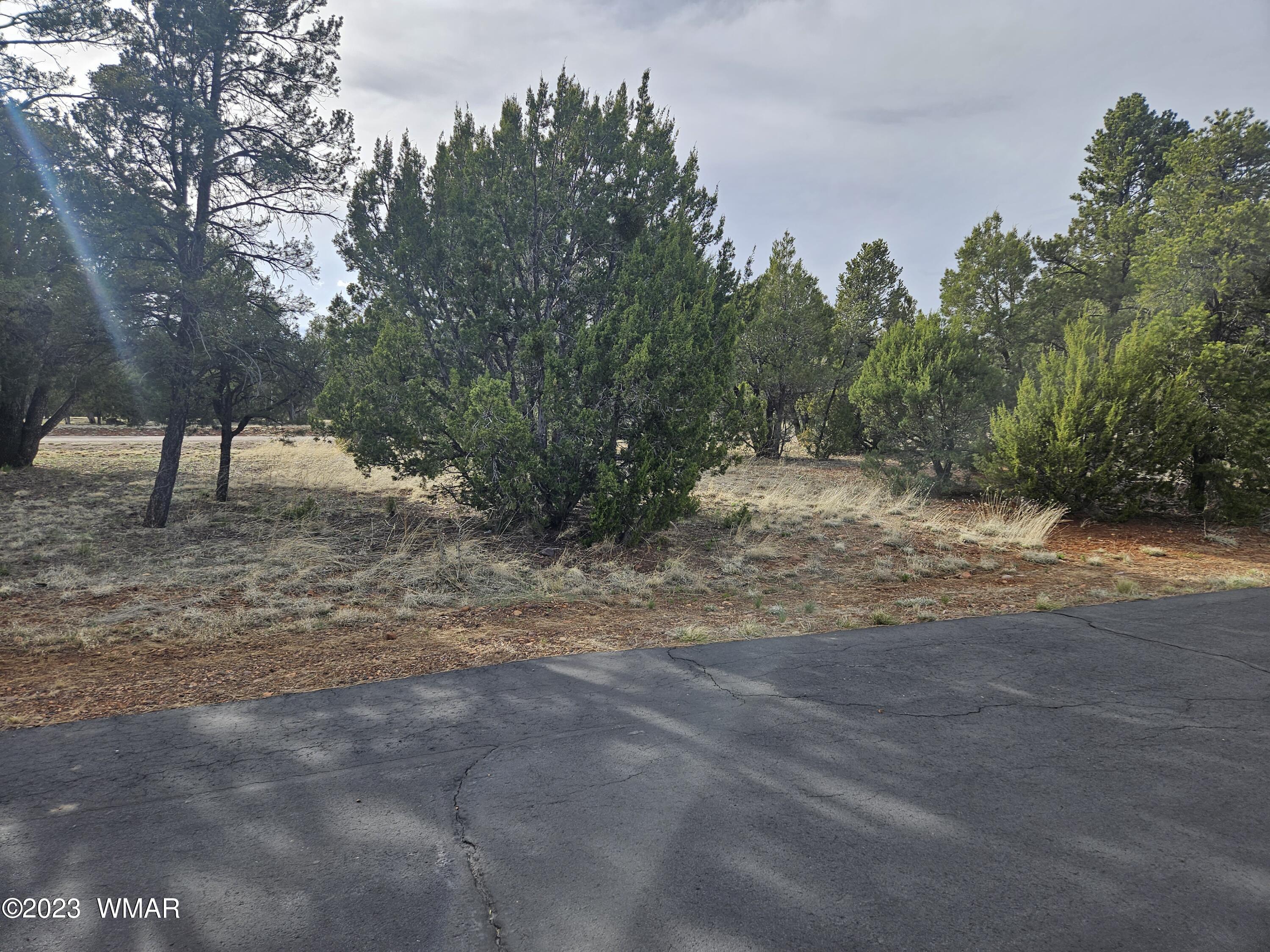 Tbd Constellation Drive Overgaard, AZ 85933 - Photo 2 of 3