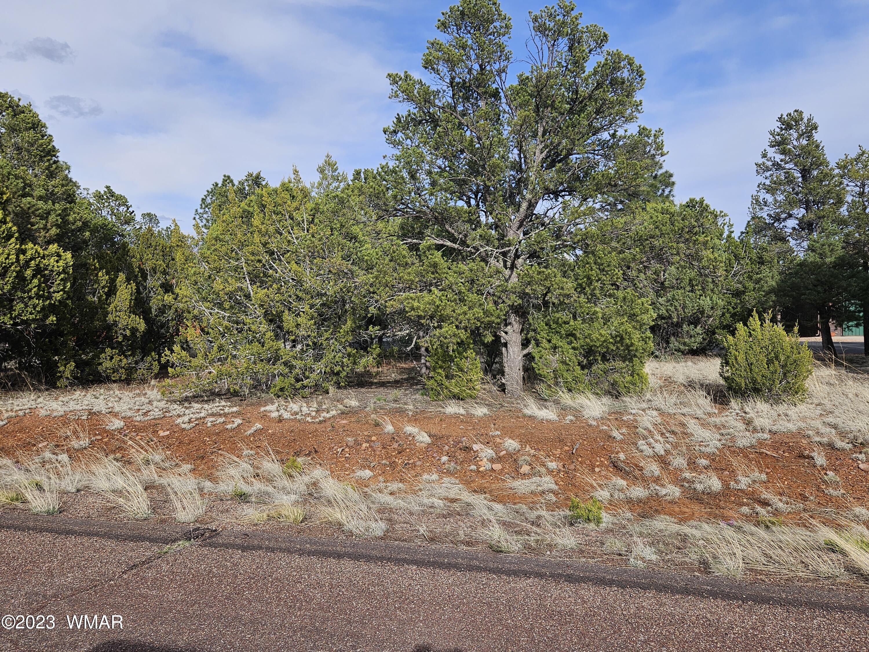 Tbd Constellation Drive Overgaard, AZ 85933 - Photo 3 of 3