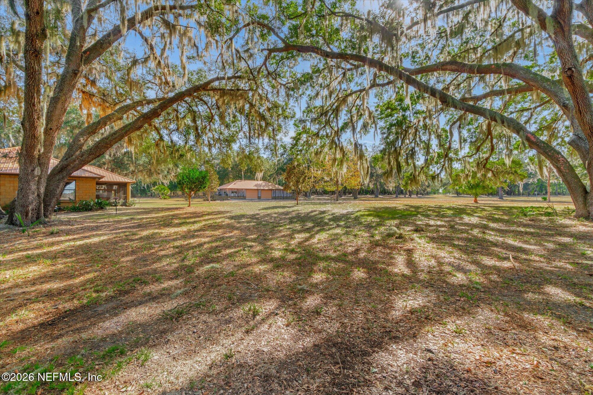 118 Hooks Lake Road Melrose, FL 32666 - Photo 2 of 61 a backyard of a house with large trees and outdoor seating