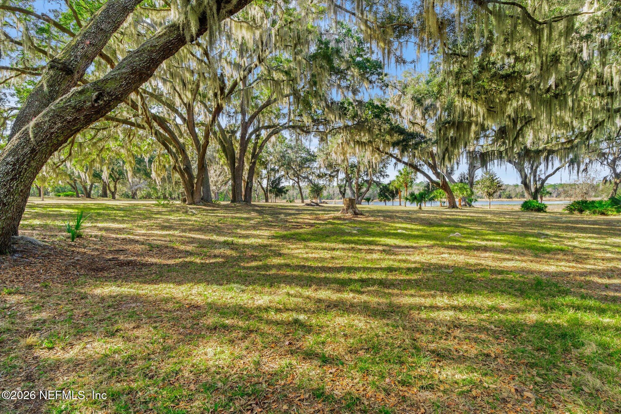 118 Hooks Lake Road Melrose, FL 32666 - Photo 38 of 61 a view of a green field with lots of bushes