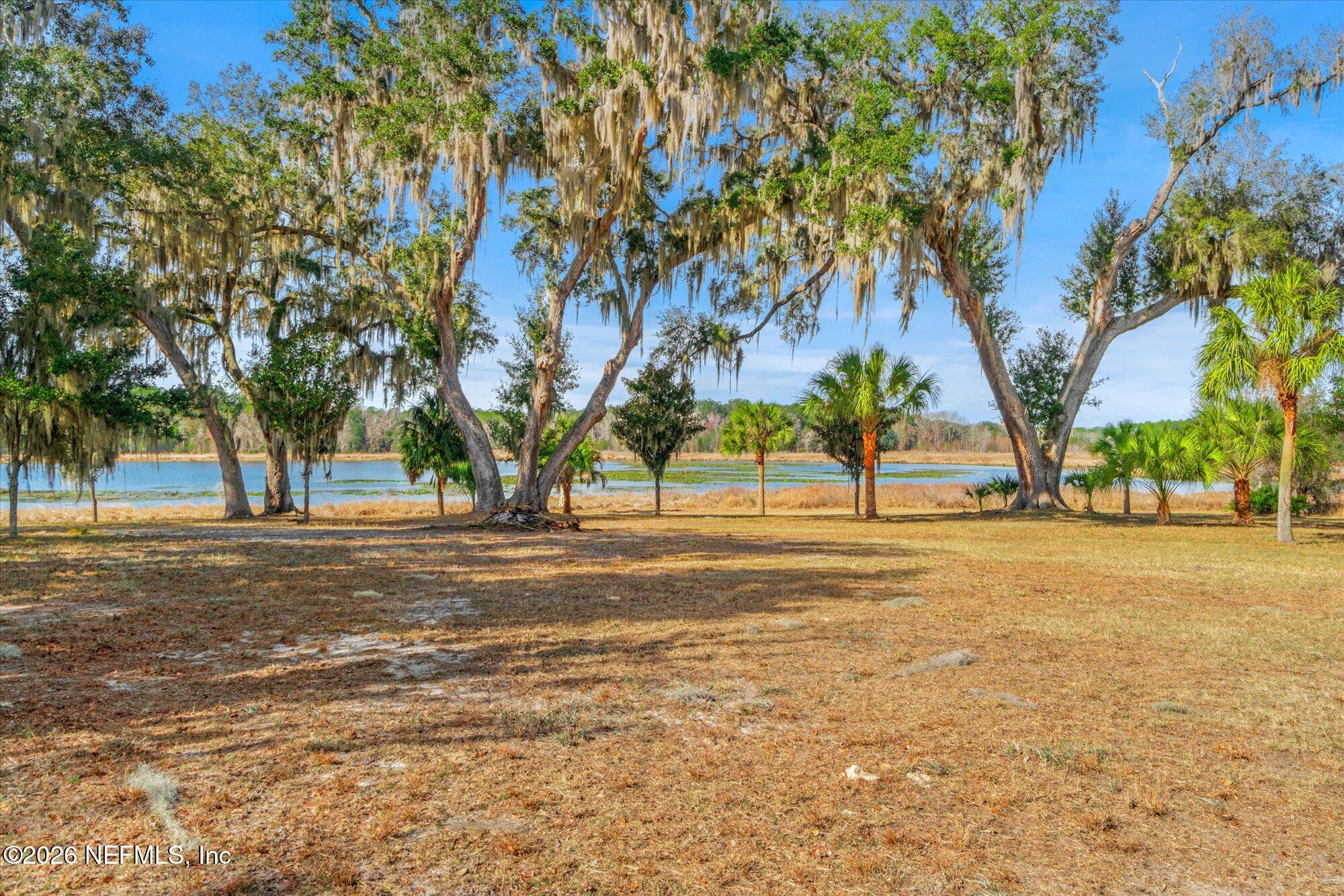 118 Hooks Lake Road Melrose, FL 32666 - Photo 39 of 61 a view of a trees with a trees