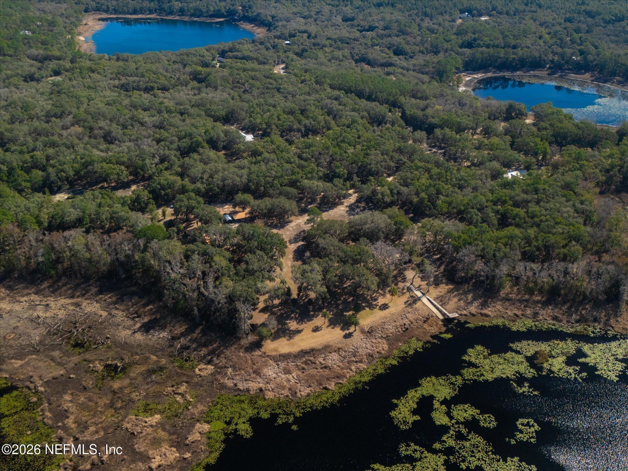 118 Hooks Lake Road Melrose, FL 32666 - Photo 52 of 61 a view of a forest with a yard and green space