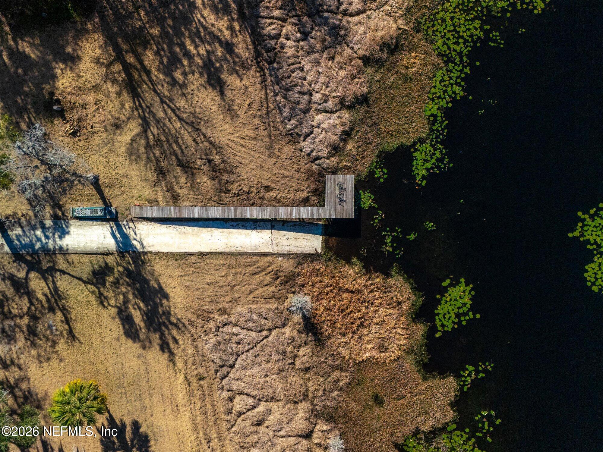 118 Hooks Lake Road Melrose, FL 32666 - Photo 59 of 61 a view of a yard with plants and trees