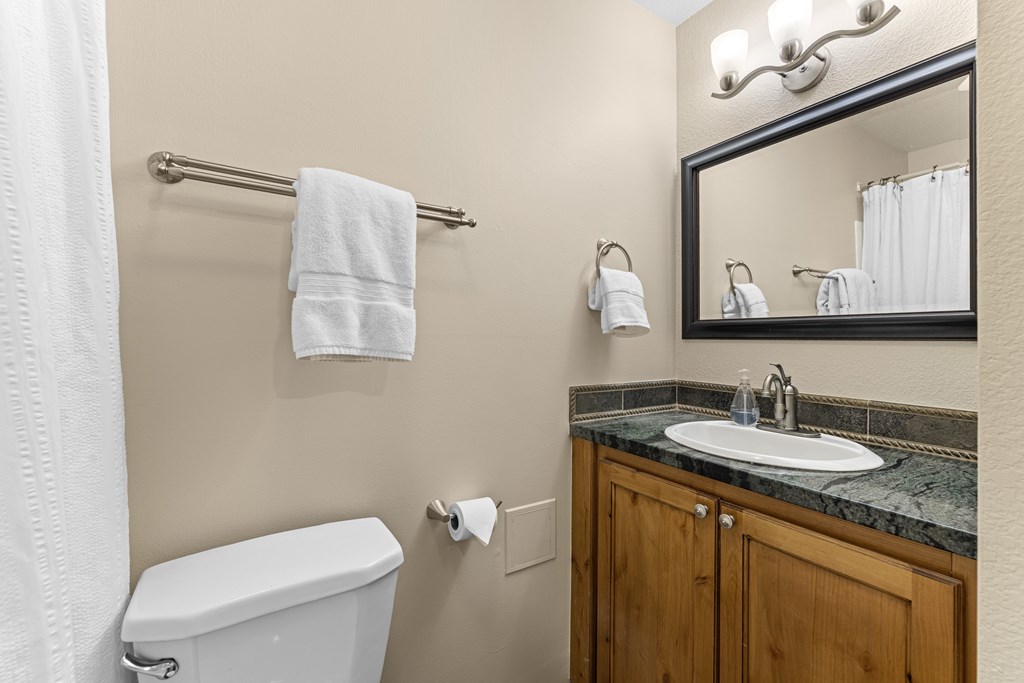 601 Hemlock Street, Unit 3 McCall, ID 83638 - Photo 25 of 31 Bathroom